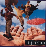 Pray For Rain (Pray For Rain Album Version) [Music Download]