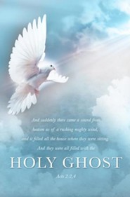 Church Worship Bulletins - Christianbook.com