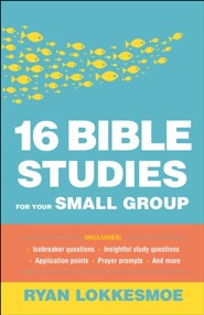 Paperback Book Small Groups