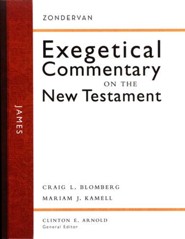 James: Zondervan Exegetical Commentary on the New Testament [ZECNT]