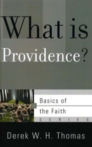 What Is Providence? (Basics of the Faith)