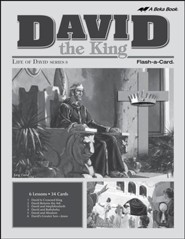 Extra David the King Lesson Guide