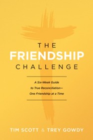 The Friendship Challenge: A Six-Week Guide to True Reconciliation--One Friendship at a Time