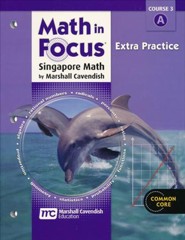 Math in Focus Grade 8 Course 3 Extra Practice A
