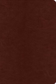 Imitation Leather Brown Book