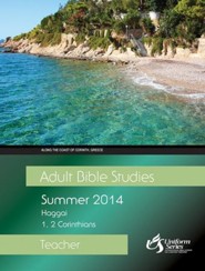Adult Bible Studies Summer 2014 Teacher - eBook