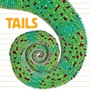Whose Is It?: Tails Boardbook