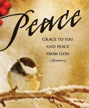 Peace Bird Images Advent Large Bulletins, Pack of 50