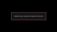 Lessons from the Olive [Video Download]