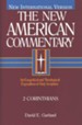 2 Corinthians: New American Commentary [NAC]