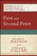 First and Second Peter: Paideia Commentaries on the New Testament [PCNT]
