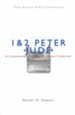 1 & 2 Peter/Jude: A Commentary in the Wesleyan Tradition (New Beacon Bible Commentary) [NBBC]