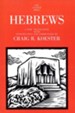 Hebrews: Anchor Yale Bible Commentary [AYBC]