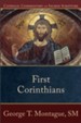 First Corinthians: Catholic Commentary on Sacred Scripture [CCSS] -eBook