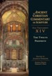 The Twelve Prophets: Ancient Christian Commentary on Scripture, OT Volume 14 [ACCS]