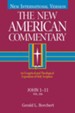 John 1-11: New American Commentary [NAC] -eBook