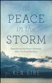 At Peace in the Storm: Experiencing the Savior's Presence When You Need Him Most