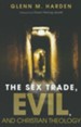 The Sex Trade, Evil, and Christian Theology [Paperback]