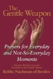 The Gentle Weapon: Prayers for the Everyday and Not So Everyday Moments