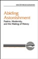 Abiding Astonishment: Psalms, Modernity, & the Making of History