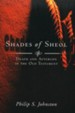 Shades of Sheol: Death and Afterlife in the Old Testament