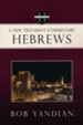 Hebrews: A New Testament Commentary