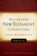 Luke 18-24: The MacArthur New Testament Commentary 