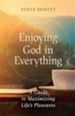 Enjoying God in Everything: A Guide to Maximizing Life's Pleasures