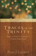 Traces of the Trinity: Signs of God in Creation and Human Experience