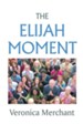 The Elijah Moment - eBook