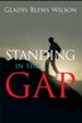 Standing in the Gap - eBook