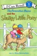 The Berenstain Bears and the Shaggy Little Pony