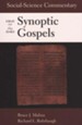 Social-Scientific Commentary on the Synoptic Gospels - 2nd Edition
