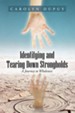 Identifying and Tearing Down Strongholds: A Journey to Wholeness - eBook