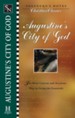 Shepherd's Notes on Augustine's City of God - eBook