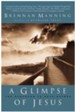 A Glimpse of Jesus - eBook