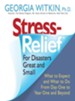 Stress Relief for Disasters Great and Small: What to Expect and What to Do from Day One to Year One and Beyond - eBook