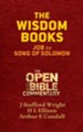 The Wisdom Books: Job to Song of Solomon - eBook