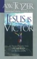 Jesus Is Victor: A Fresh Perspective on the Book of Revelation / New edition - eBook