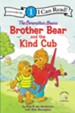 The Berenstain Bears Brother Bear and the Kind Cub