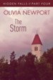 Hidden Falls: The Storm - Part 4 - eBook