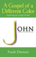 A Gospel of a Different Color: Exploring the Gospel of John - eBook