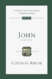 John (Revised edition): Tyndale New Testament Commentary [TNTC]