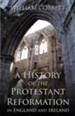 A History of the Protestant Reformation in England and Ireland - eBook