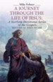 A Journey Through the Life of Jesus: a Yearlong Devotional Series of the Gospels: Volume II: Days 91-180 - eBook