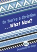 So You're a Christian . . . What Now?: 100 Devotions for Boys - eBook