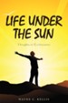 Life Under the Sun: Thoughts on Ecclesiastes - eBook