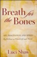 Breath for the Bones: Art, Imagination and Spirit: A Reflection on Creativity and Faith