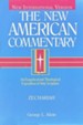 Zechariah: New American Commentary [NAC]