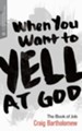 When You Want to Yell at God: The Book of Job - eBook